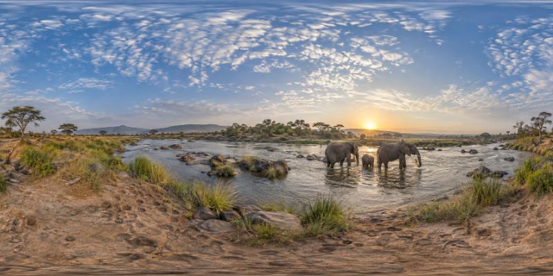 African Safari — 360° panorama preview