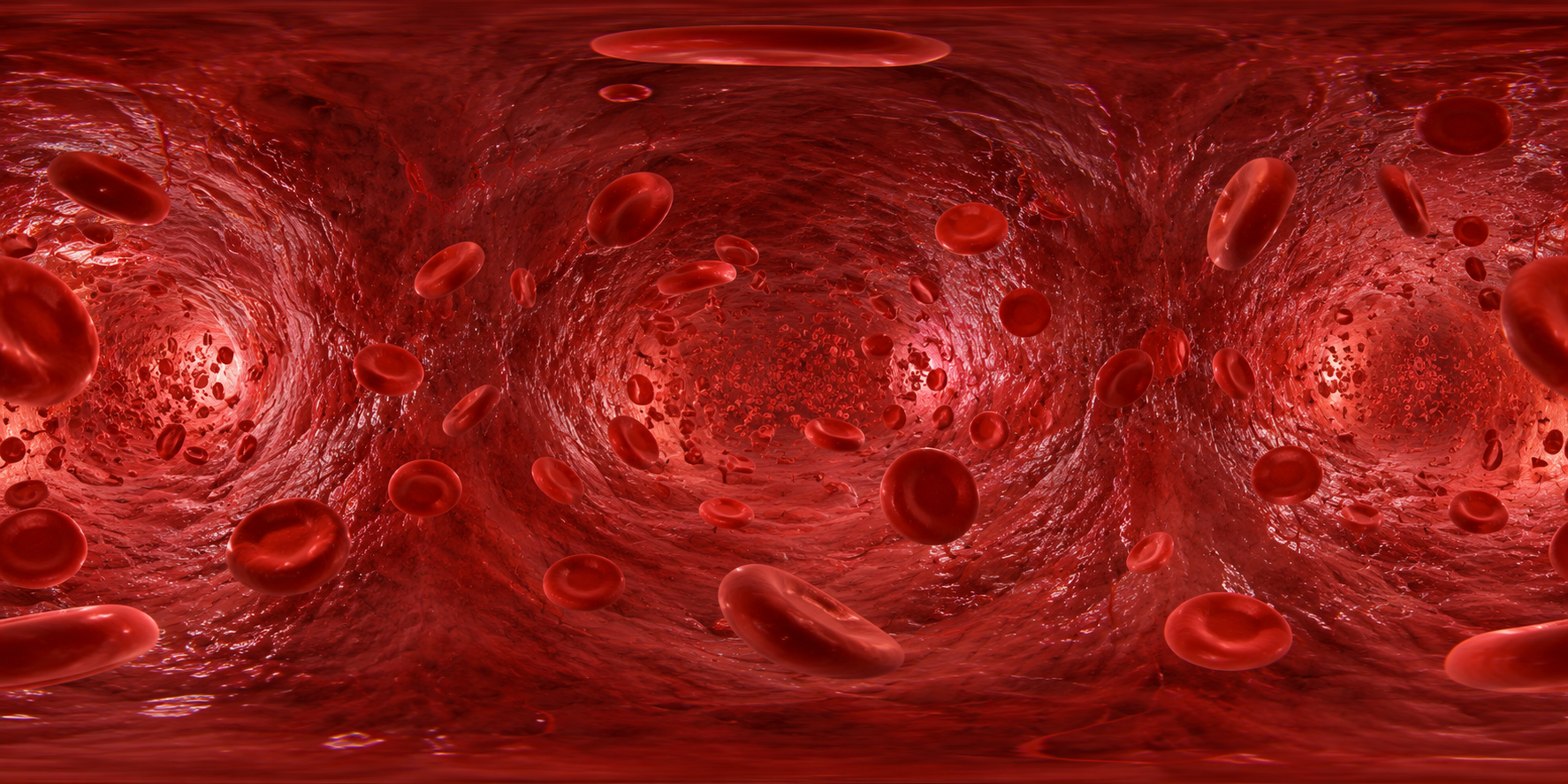 The Human Body — 360° panorama preview